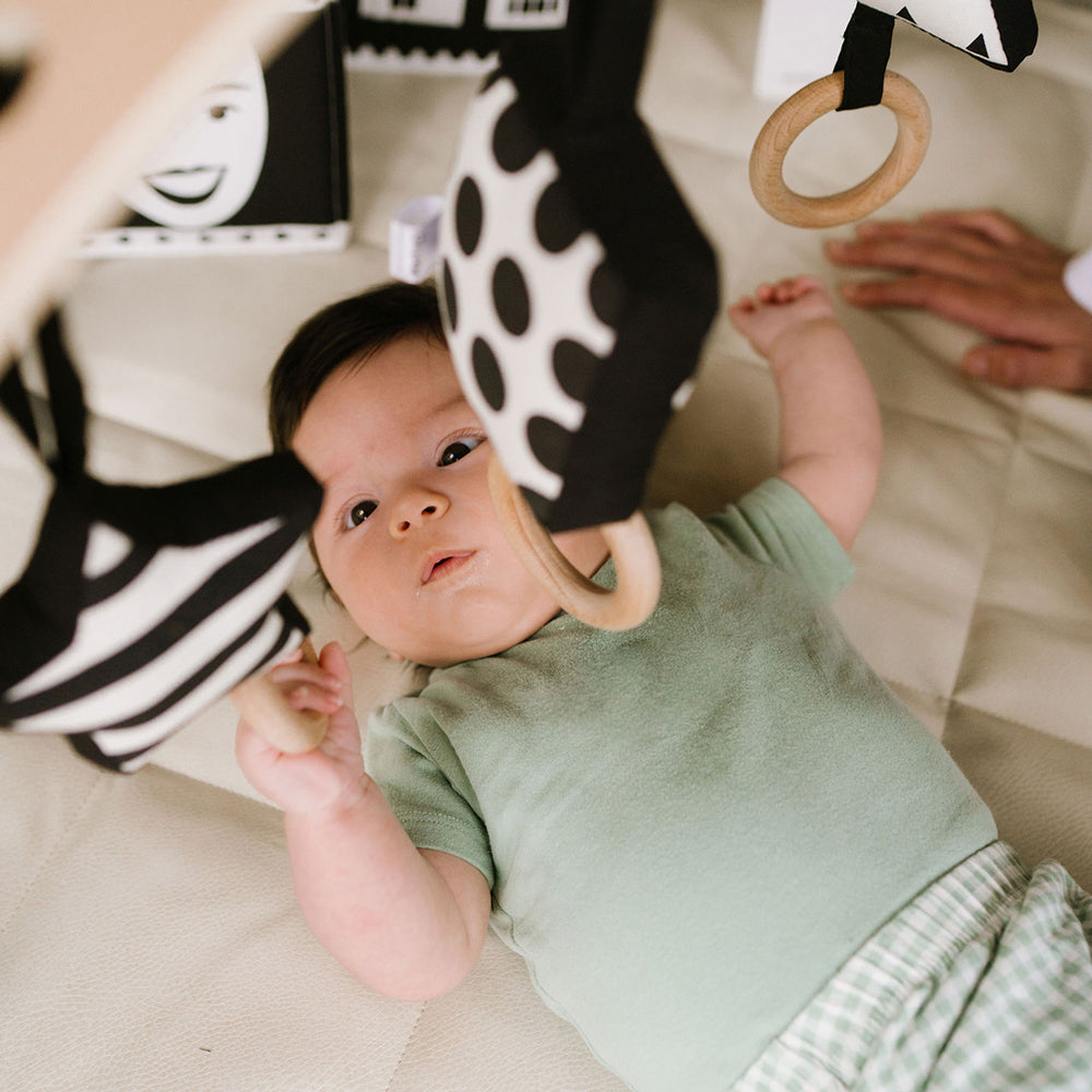 Black and white sensory newborn toys