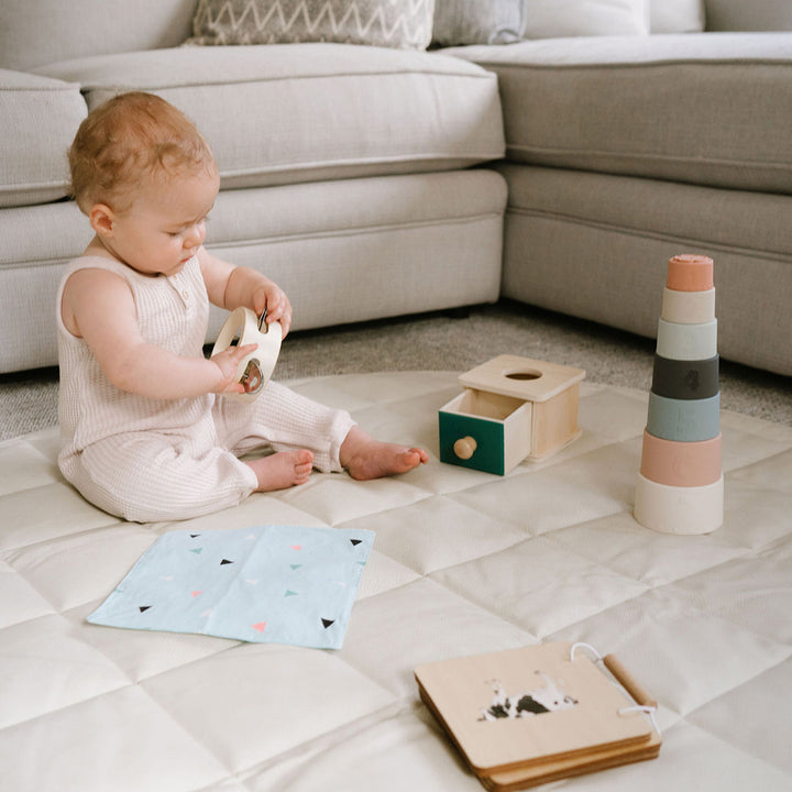 Educational toys for 9-10 month baby. Playkit includes playthings that target key brain development areas.