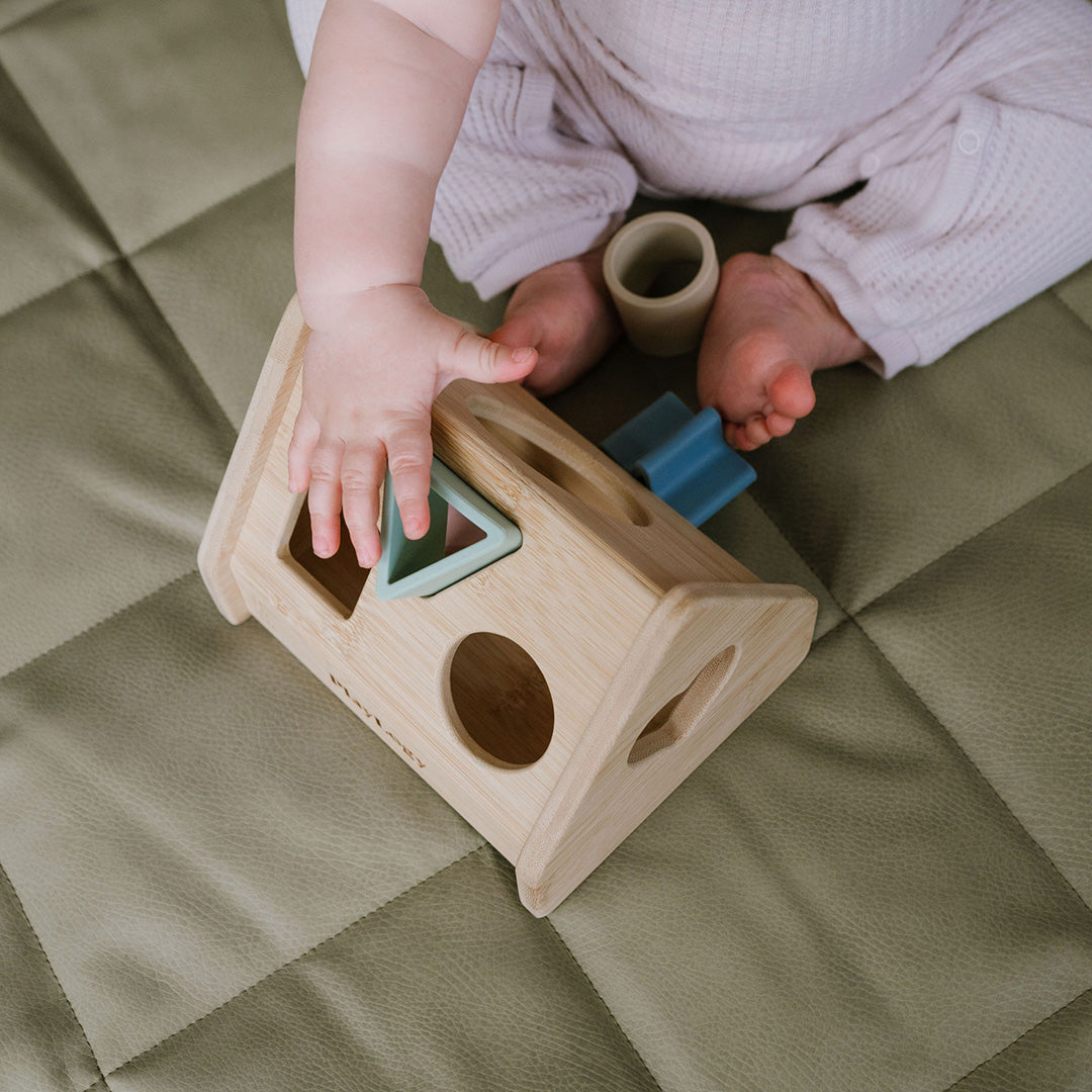 Wooden shape sorter puzzle for babies