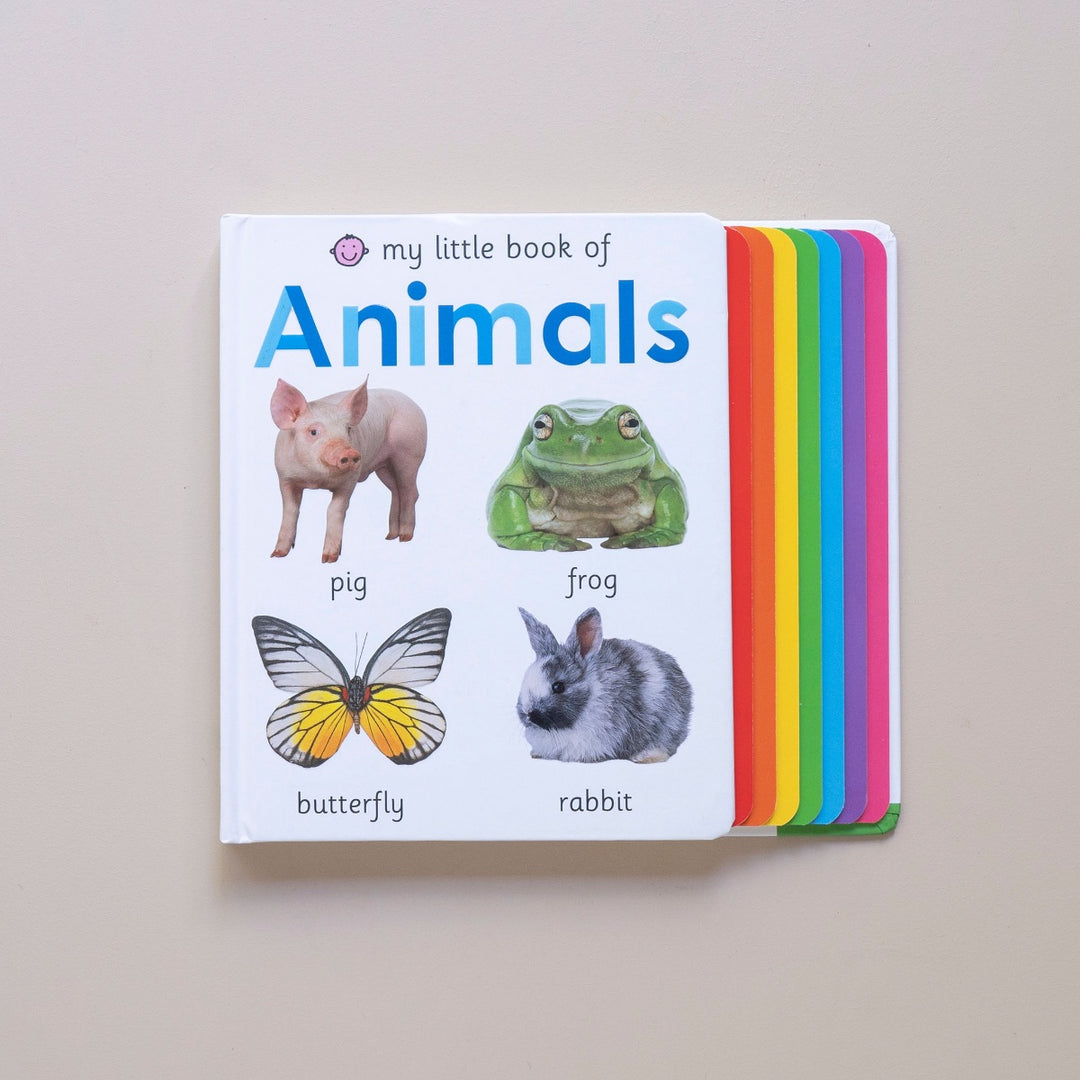 Animal book with photos for toddlers